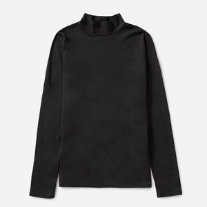 Everlane Pima Stretch Turtleneck